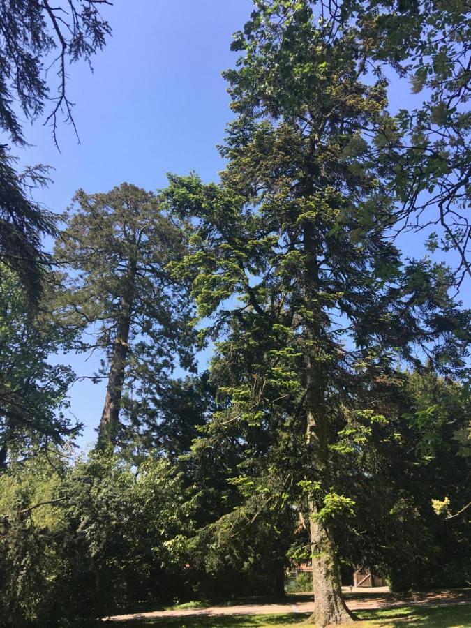 La Gaubretiere Le Chateau Des Tourelles En Vendee מראה חיצוני תמונה
